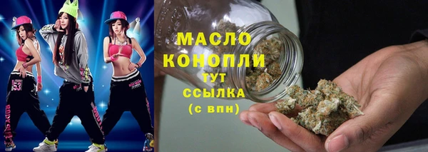 дмт Богородицк