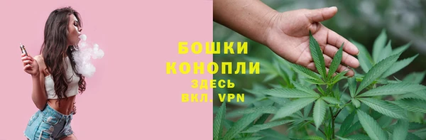 метадон Богданович