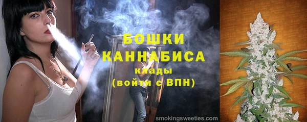 метадон Богданович