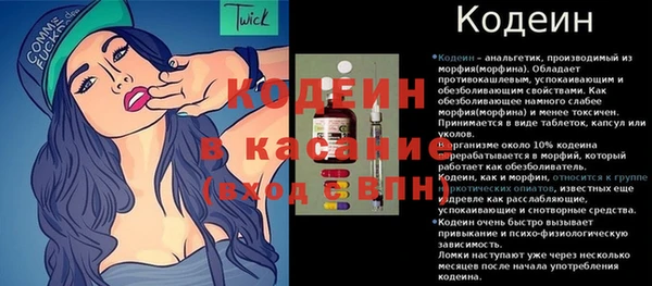 метадон Богданович