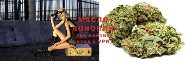 метадон Богданович