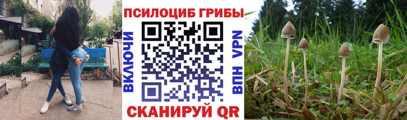 мега онион  Юхнов  Псилоцибиновые грибы MAGIC MUSHROOMS 
